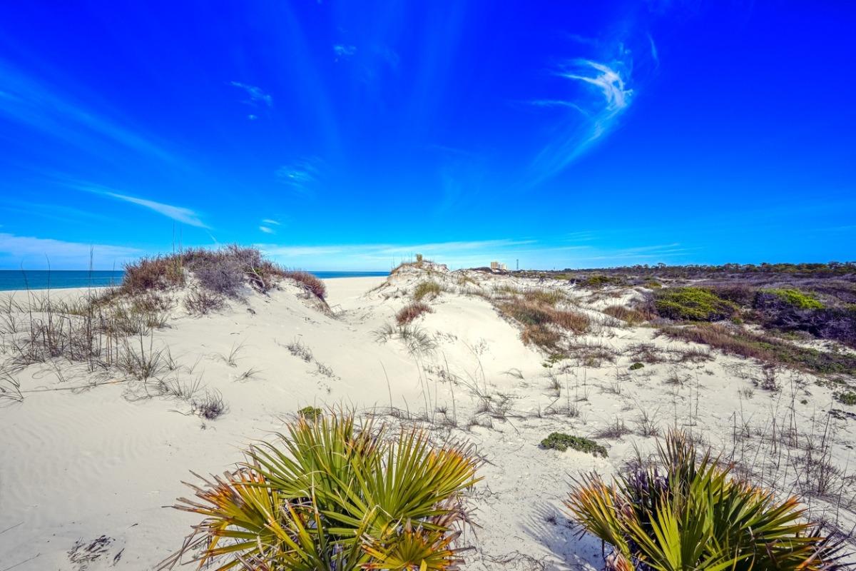 Scenic sand dunes and Gulf views near Panama City Beach condos, showcasing natural coastal beauty and beach access
